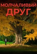 Рекомендуем посмотреть Молчаливый друг