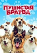 Рекомендуем посмотреть Пушистая братва
