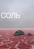 Рекомендуем посмотреть Соль