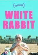 Рекомендуем посмотреть White Rabbit
