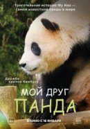 Рекомендуем посмотреть Мой друг панда