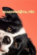 Рекомендуем посмотреть Знакомьтесь, пёс