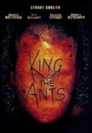 Рекомендуем посмотреть Король муравьев