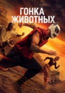 Рекомендуем посмотреть Гонка животных