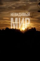 Рекомендуем посмотреть Невидимый мир