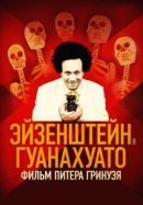 Рекомендуем посмотреть Эйзенштейн в Гуанахуато