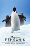Рекомендуем посмотреть Пингвины
