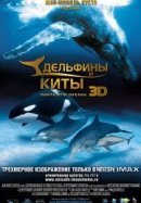 Рекомендуем посмотреть Дельфины и киты 3D