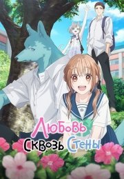 Любовь сквозь стены