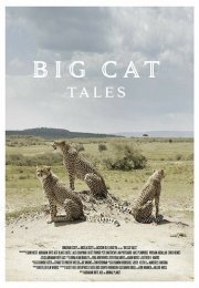 Большие кошки Кении