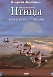 Птицы