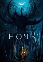 Ночь