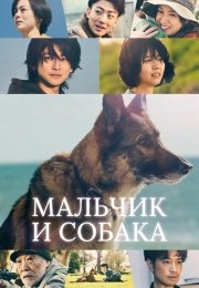 Мальчик и собака