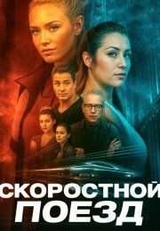 Скоростной поезд