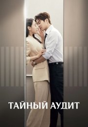 Тайный аудит