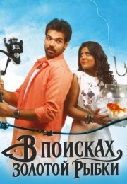 В поисках золотой рыбки